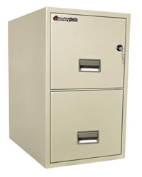 SentrySafe 2 Drawer Insulated Vertical File - 25"