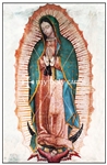 955-our-lady-of-guadalupe