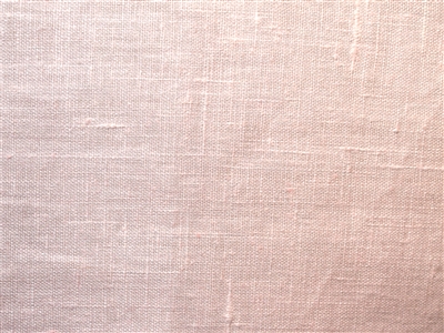 Florence rose white