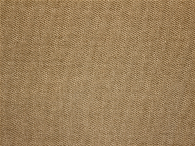 Artesia camel