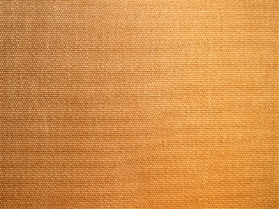 Buckskin nutmeg