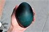 Green Emu Egg
