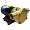 Jabsco Ballast King Bronze DC Pump with Reversing Switch - 15 GPM, 22610-9507