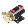 Johnson Flexible Impeller Pump F3B-19 Multi-Purpose Utility Pump, 4.0GPM, 12V, 10-24516-03
