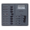 BEP AC Circuit Breaker Panel with Analog Meters, 8SP 2DP AC120V Stainless Steel