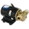 Jabsco AC Motor Pump, 3.4 GPM, 1/12 HP, 115V 12210-0001