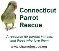 Connecticut Parrot Rescue