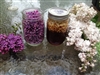 Making Lilac Honey