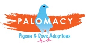 The Palomacy Pigeon & Dove Foster Network