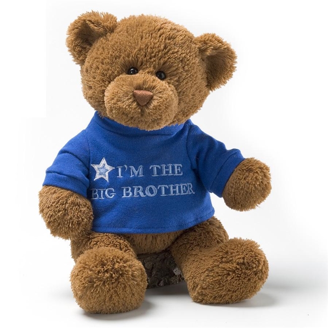 I'm The Big Brother T-Shirt Bear