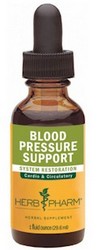 BLOOD PRESSURE SUPPORT - 1 fl oz
