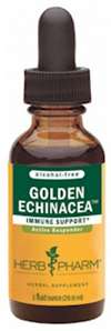 GOLDEN ECHINACEA (AF) GLYCERITE - 1 fl oz