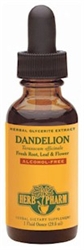 DANDELION GLYCERITE - 1 fl oz