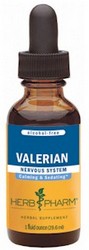 VALERIAN (AF) GLYCERITE  - 1 fl oz