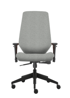 All Seating - Chiroform Ultra Task Highback