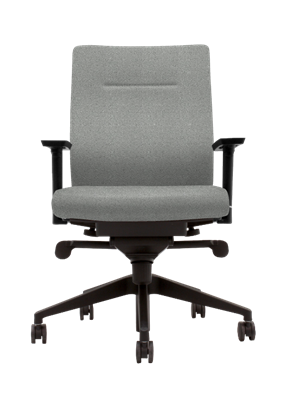 All Seating - Ray Midback Executive