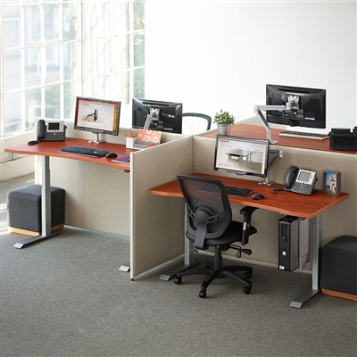 Workrite Ergonomics - Willow Monitor Arm