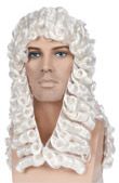 Judge Wig