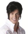 Young Elvis Wig