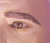 Male Eyebrows