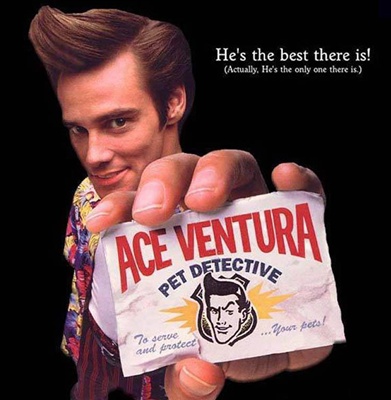 Ace Ventura Mans Wig