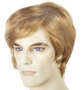 Bargain Donald Trump Wig