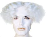 Mad Scientist Bargain Wig