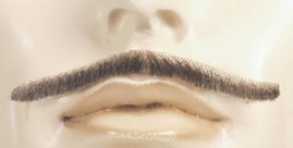 Discount Errol Flynn Mustache