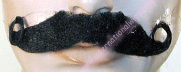 English Mustache