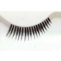 Eyelashes Style 360