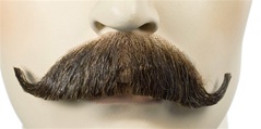 Edwardian M-34 Mustache