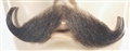 Handlebar Mustache