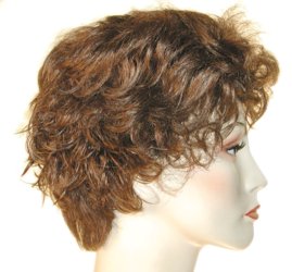 Tina 1999 Wig