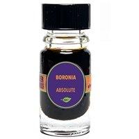 Boronia Absolute