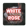 White Rose - D8THC Flower - 230MG per gram