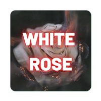 White Rose - D8THC Flower - 230MG per gram