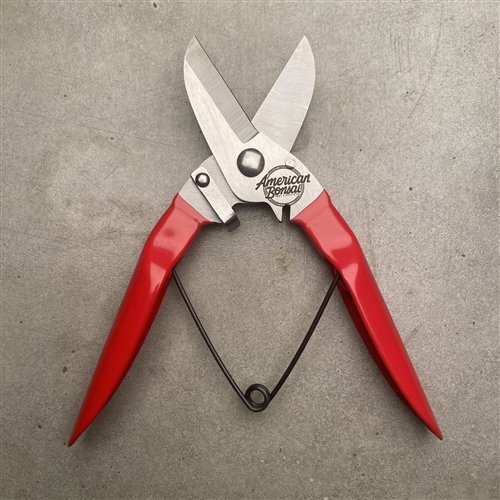 Stainless Steel Spring-loaded Shears: Standard Issue