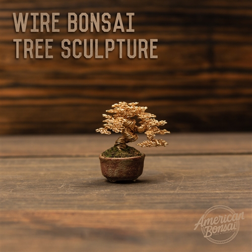 American Bonsai Ken To Wire Bonsai Tree Sculpture