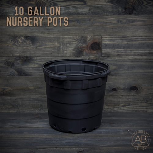 American Bonsai Plastic Nursery Pot: 10 Gallon