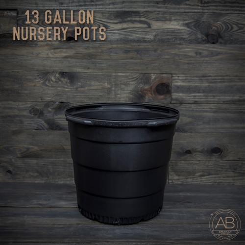 American Bonsai Plastic Nursery Pot: 13 Gallon