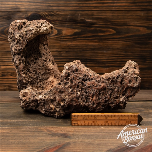 Volcanic Rock #026: 13" x 8" x 9" - "The Otter"