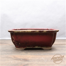 International Bonsai Pot