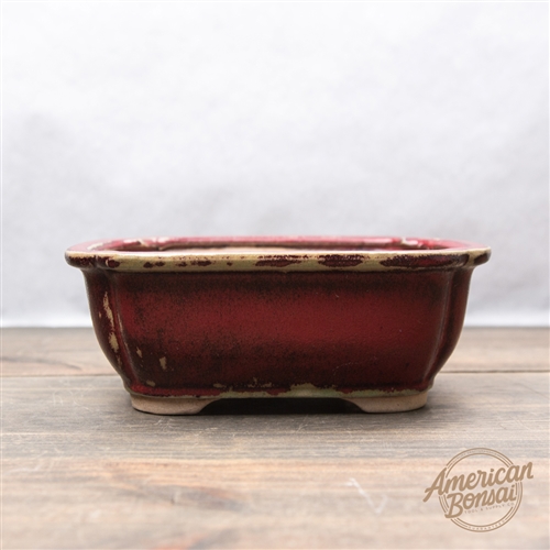 International Bonsai Pot