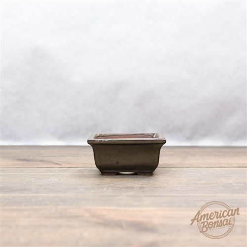 International Bonsai Pot