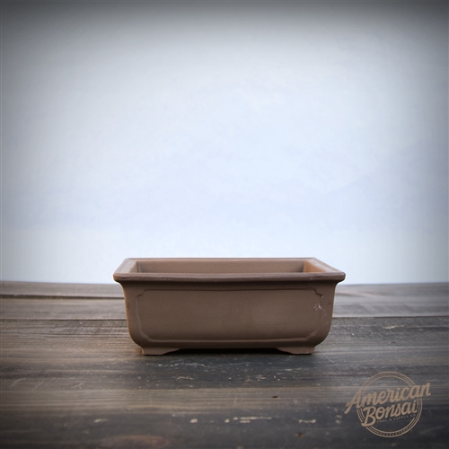 International Bonsai Pot