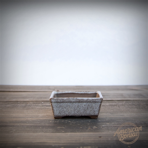 International Bonsai Pot