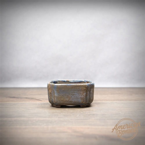 International Bonsai Pot