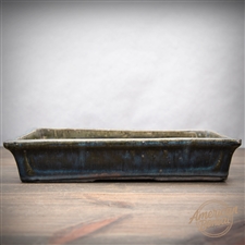 International Bonsai Pot