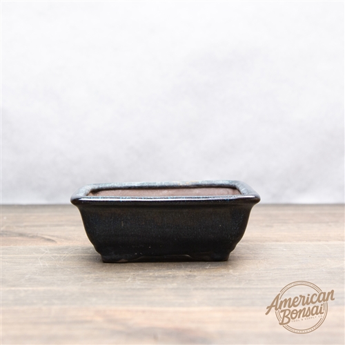 International Bonsai Pot