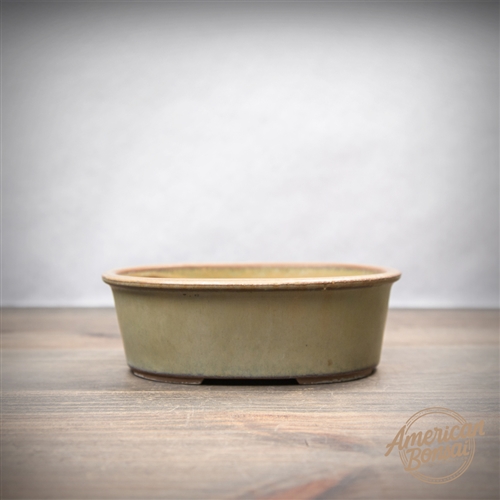 International Bonsai Pot